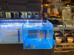 水产区-长沙北辰洲际酒店-兰调全日餐厅