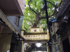 -小洲村