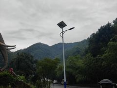 -栾川竹海野生动物园