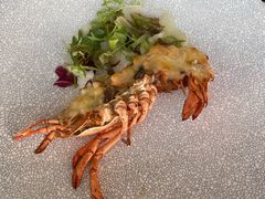 -Social 秀西餐厅-长沙瑞吉酒店(运达店)