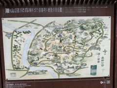-潜山国家森林公园