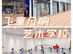 -飞童凡响艺术学校(松江区九里亭校区)