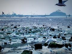 -栈桥景区