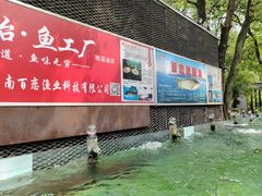 -天怡·鱼工厂(梅溪湖店)
