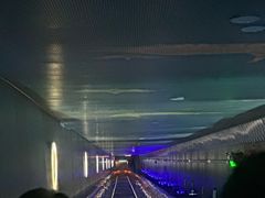 -白鹤梁水下博物馆