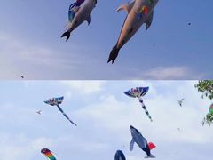 -途柚团建·拓展培训·年会策划