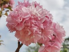 -海上田园