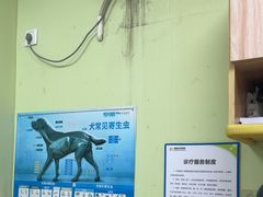 -瑞鹏宠物医院·夜间急症·心超·猫科(祖庙分店)