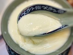 顺德姜撞奶-勝記酒家·37年老字号·经典粤菜(荔枝公园店)