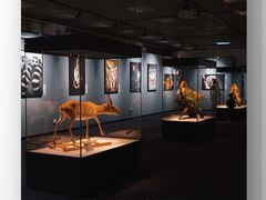 -国家自然博物馆