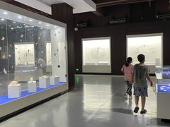 -贝壳王国博物馆