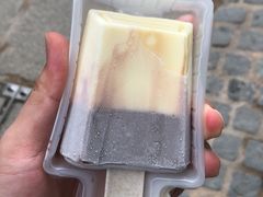 半巧主义-钟薛高(南头古城店)