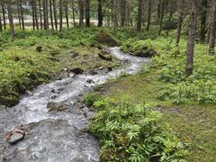 -硗碛藏寨·神木垒景区