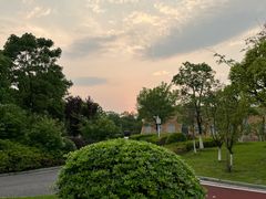 -瑶湖郊野森林公园