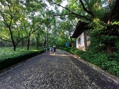 -千佛山风景名胜区