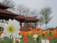-厦门园林博览苑