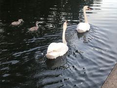 -海德公园