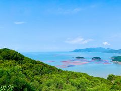 -花竹村
