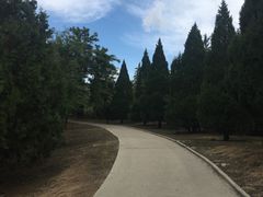 -白水寺森林公园