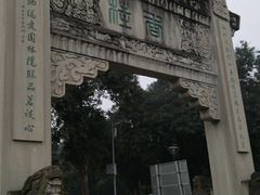 -张坝桂圆林公园