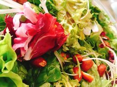 大拌菜-惠丰堂饭庄·烤鸭·京味菜(翠微路店)