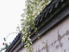 -东山风景区(洞庭东山)