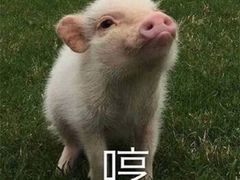 -瑶池足道养生SPA