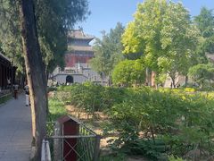 -洛阳白马寺