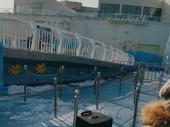 -海合安青岛极地海洋公园