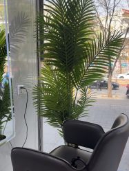 -北京柏丽美容美发