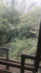 -莲生母婴月子中心(清水河公园店)