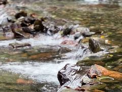 -西岭雪山大飞水景区