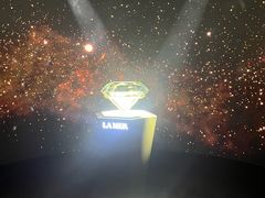 -上海外滩华尔道夫酒店