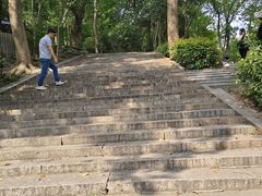 -上海佘山国家森林公园天马山园