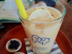 -春风十里咖啡馆