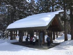 -北海道神宫