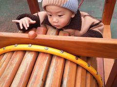 -成都泰迪熊博物馆
