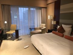 -南桥绿地铂骊酒店