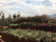 -重庆市江北嘴中央商务区中央公园