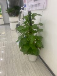 -悟空祛痘·亚健康皮肤管理中心