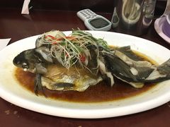 清蒸武昌鱼-九头鸟酒家(四道口店)