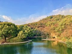 -柯岩风景区