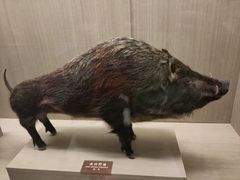 -中国农业博物馆