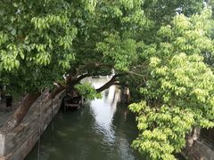 -乌镇东栅景区