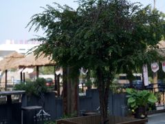 -松茸小馆·云南特色餐厅