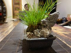 -德迹斋禅意文化茶馆·茶空间·商务洽谈•宴席(桃园店)