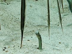 -合肥海洋世界