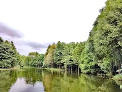 -尚湖风景区