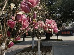 -北京市劳动人民文化宫(太庙)