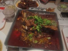 -杨氏青龙虾·羊蝎子(金盛路总店)